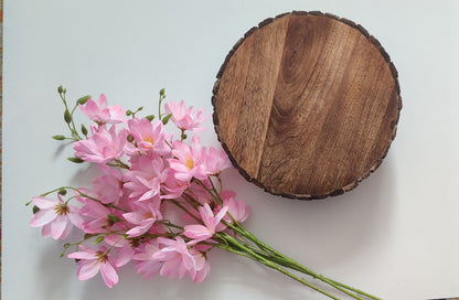 Elegant Spinning Cake Display - 10 Inch Diameter